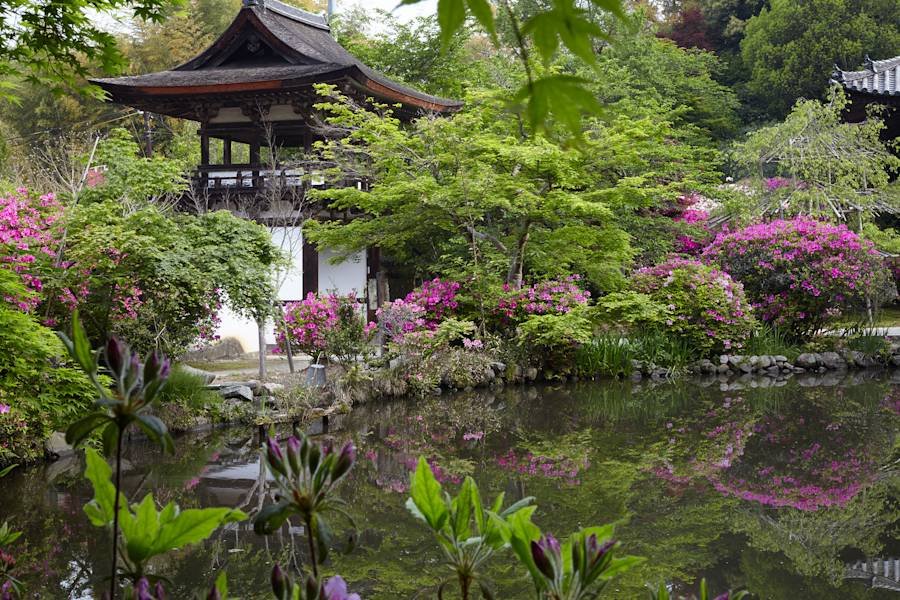 🌸 조가쿠지 (長岳寺) 이미지 1